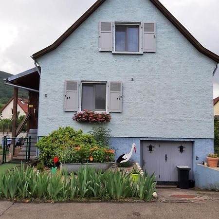 Gite Les Chiwawas D'Alsace Kaysersberg-Vignoble Bagian luar foto