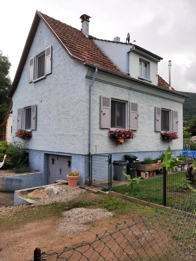 Gite Les Chiwawas D'Alsace Kaysersberg-Vignoble Bagian luar foto
