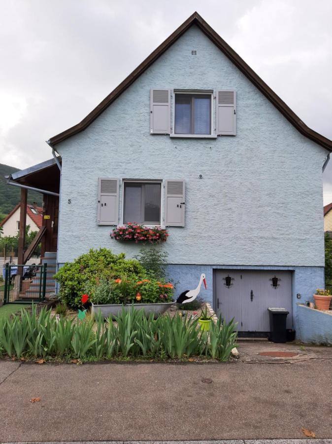Gite Les Chiwawas D'Alsace Kaysersberg-Vignoble Bagian luar foto