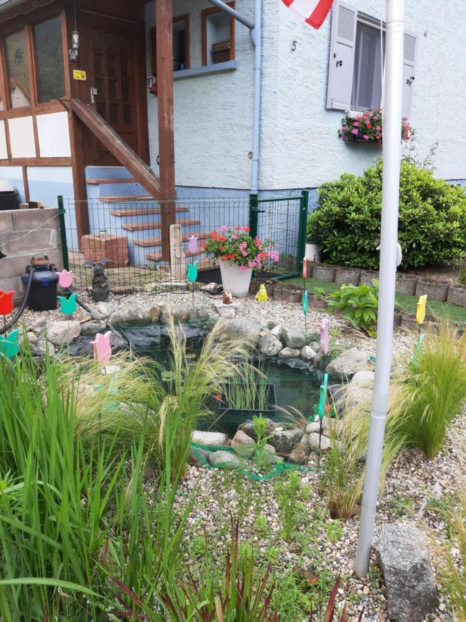 Gite Les Chiwawas D'Alsace Kaysersberg-Vignoble Bagian luar foto