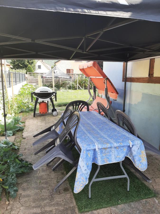 Gite Les Chiwawas D'Alsace Kaysersberg-Vignoble Bagian luar foto