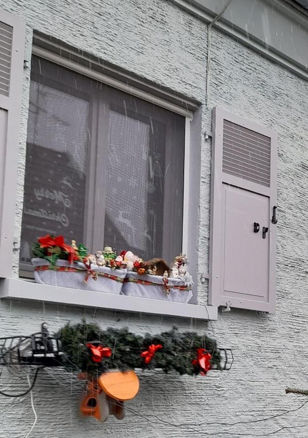 Gite Les Chiwawas D'Alsace Kaysersberg-Vignoble Bagian luar foto
